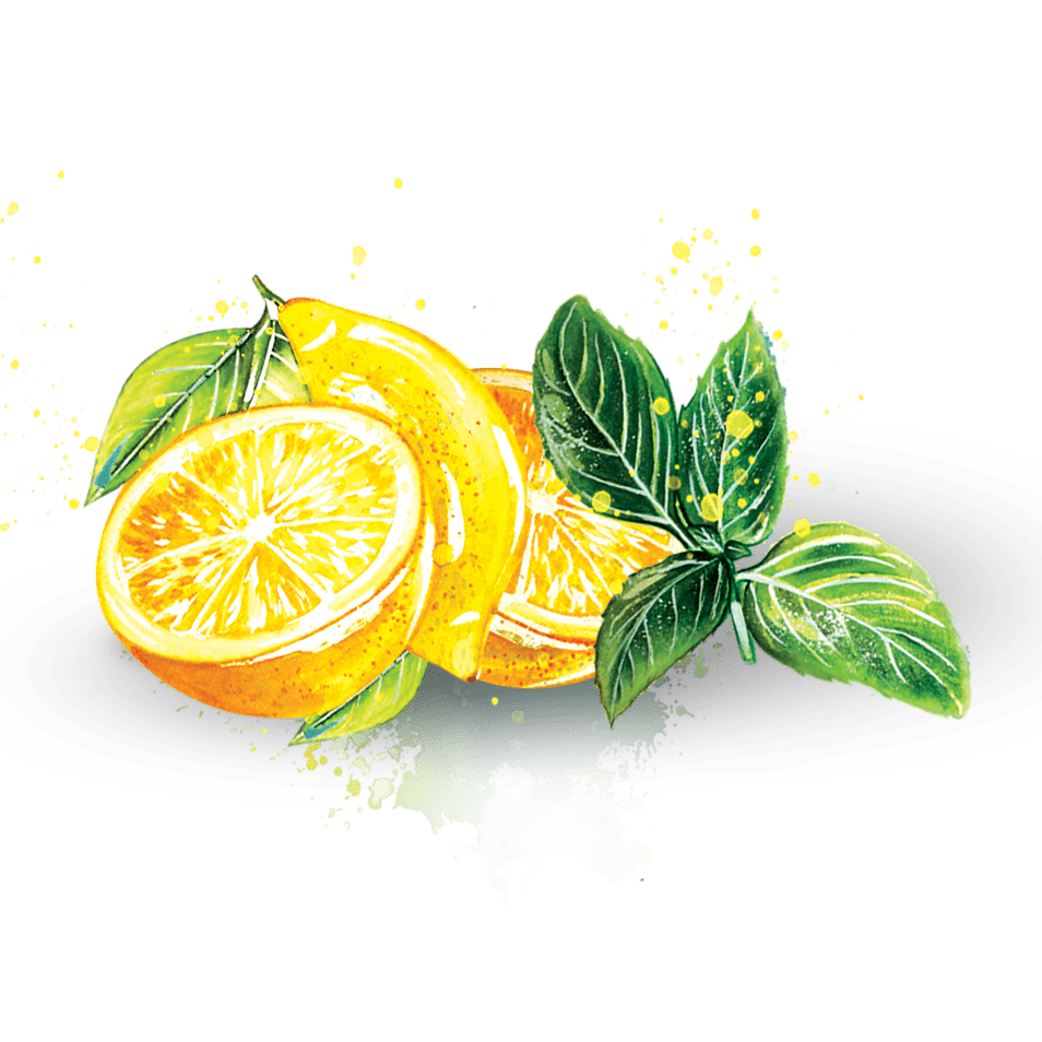 Citron basilic