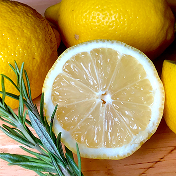 Sorbet thym citron
