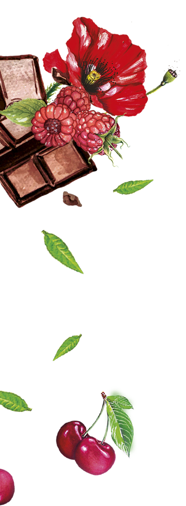 illustration fruits